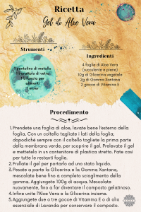 Infografica gel aloe vera by Parvati