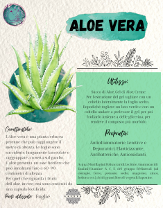 Aloe Vera scheda - consiglidiparvati.net